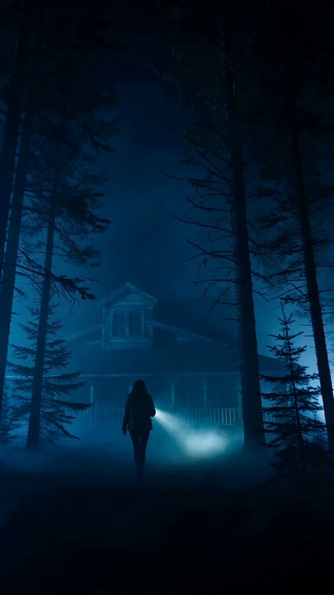 Storyboard de thriller d'horreur cinématographique