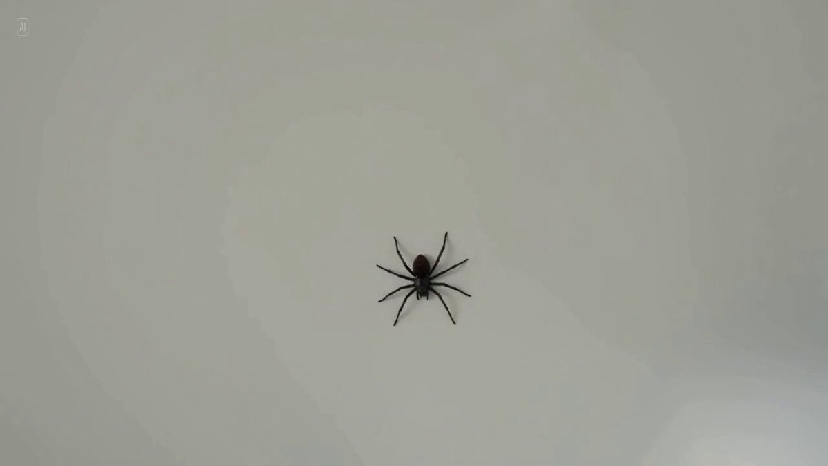 Man's Over-the-Top Reaction to a Spider