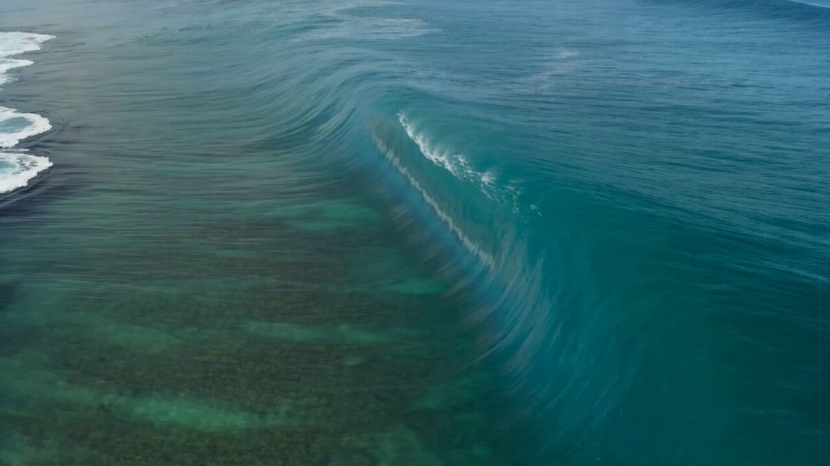 Surfer on a Big Wave
