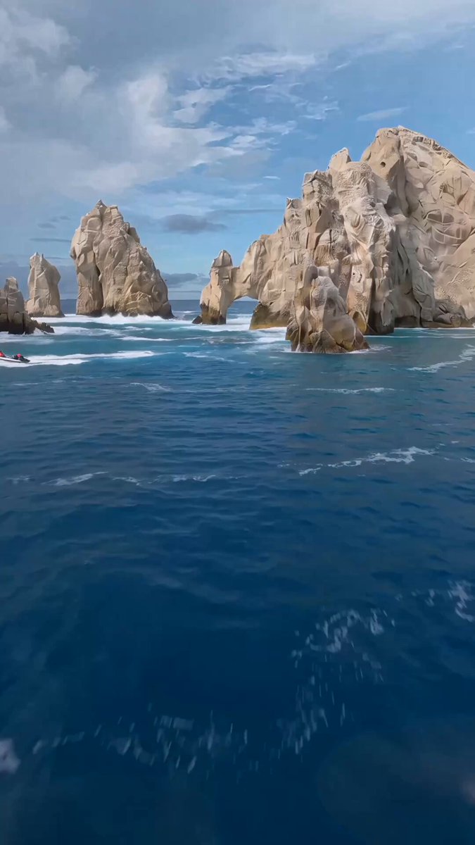 Saut de baleine à bosse filmé par drone FPV