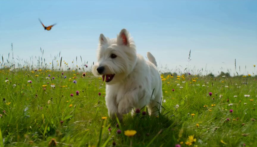 Video-Prompt: Verspielter Hund jagt Schmetterlinge