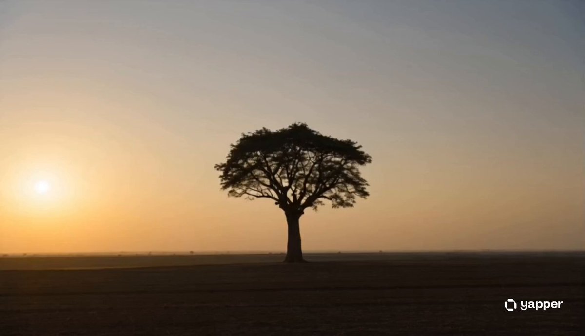 Erzählsequenz: Der uralte Baum