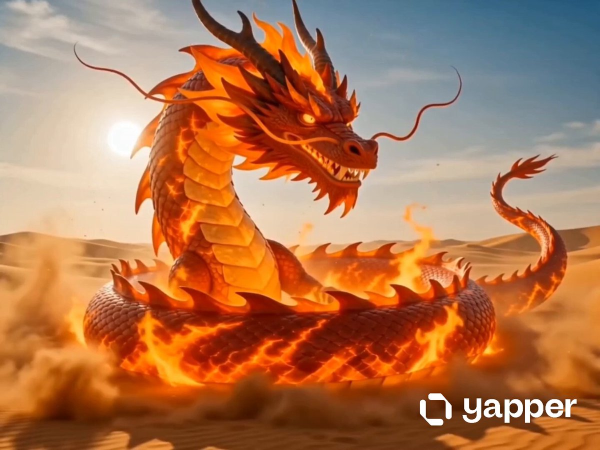 Dragon Fire Boxing Desert Combat