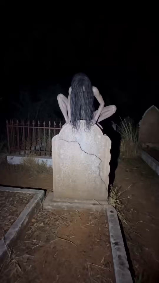 發現錄像墓地生物