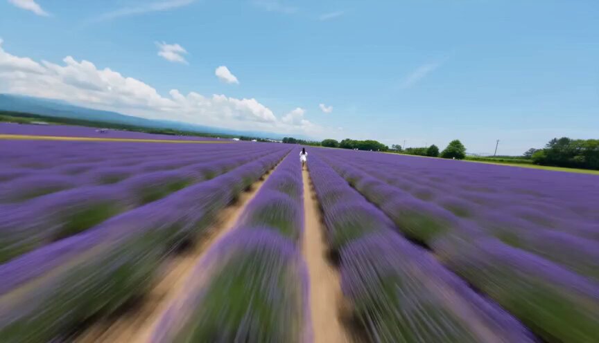 Hokkaido Landmarks Japanese Video