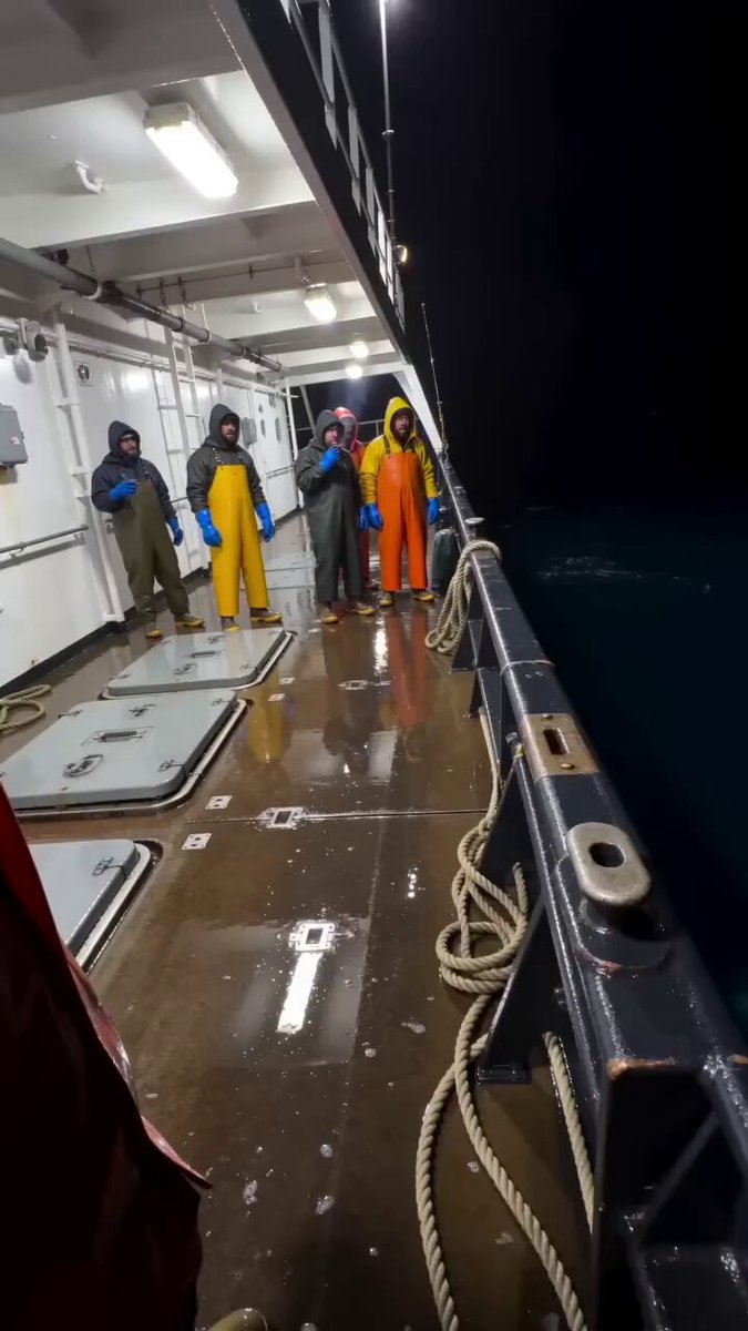Hai jagt Thunfisch auf Fischerboot