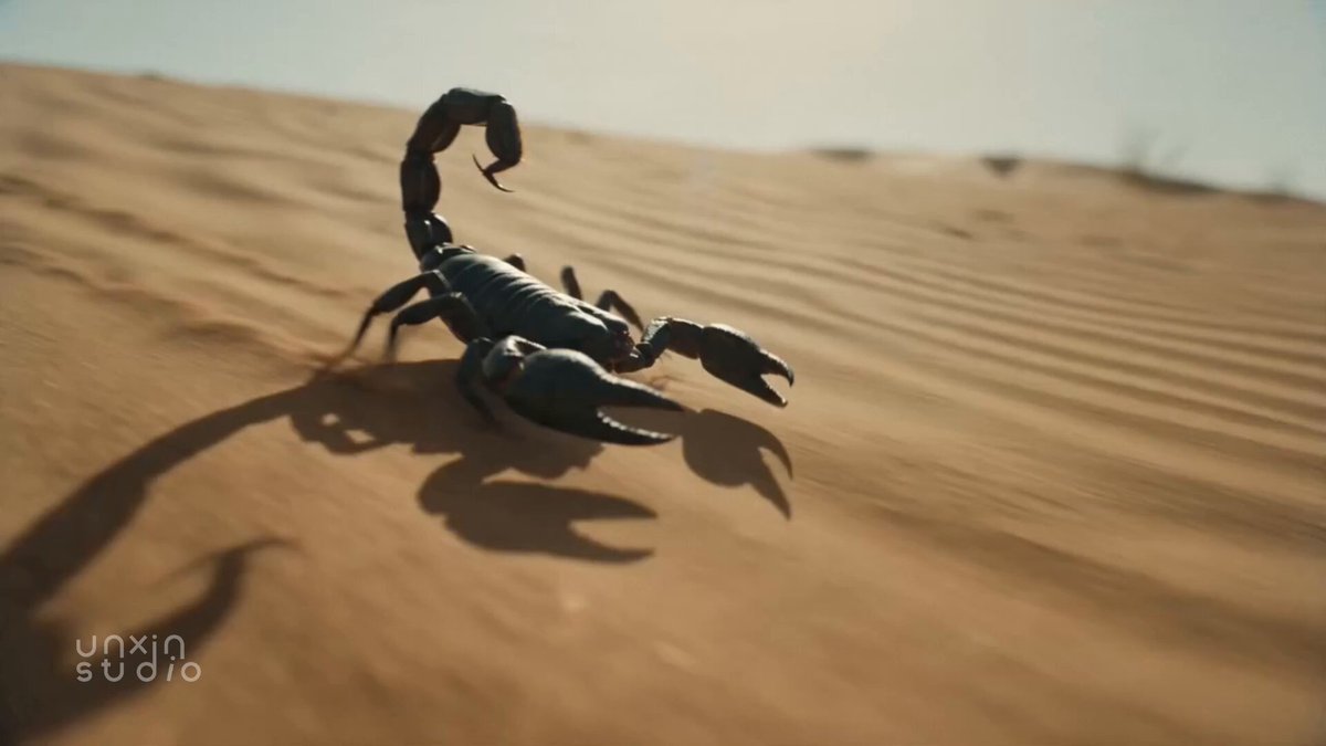Body-Horror-Transformation: Wüstenskorpion