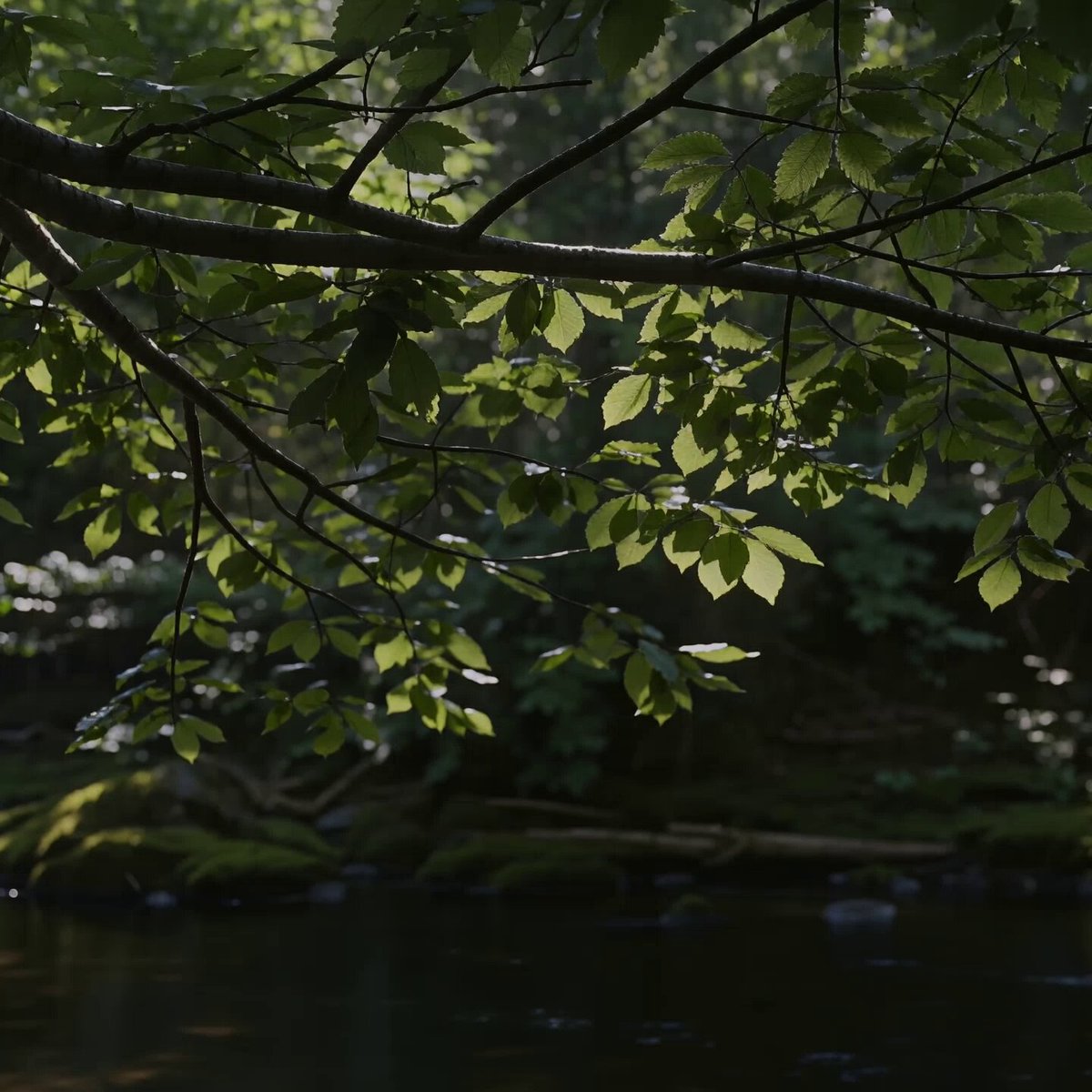 Serene Anime Woman on Mossy Riverbank