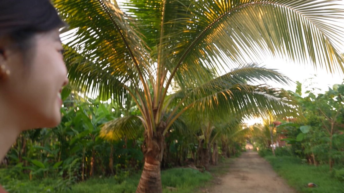 Tropical Village Travel Vlog