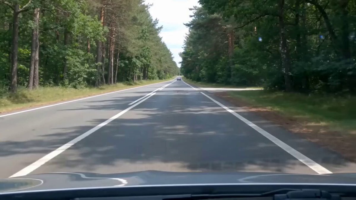 Motorrad-Vlog mit Hund und Katze
