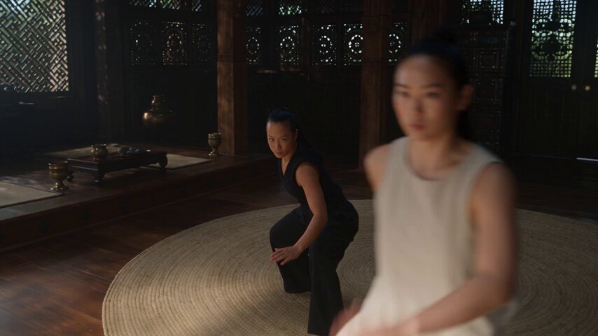 Martial Arts Sequence in Asian Hall