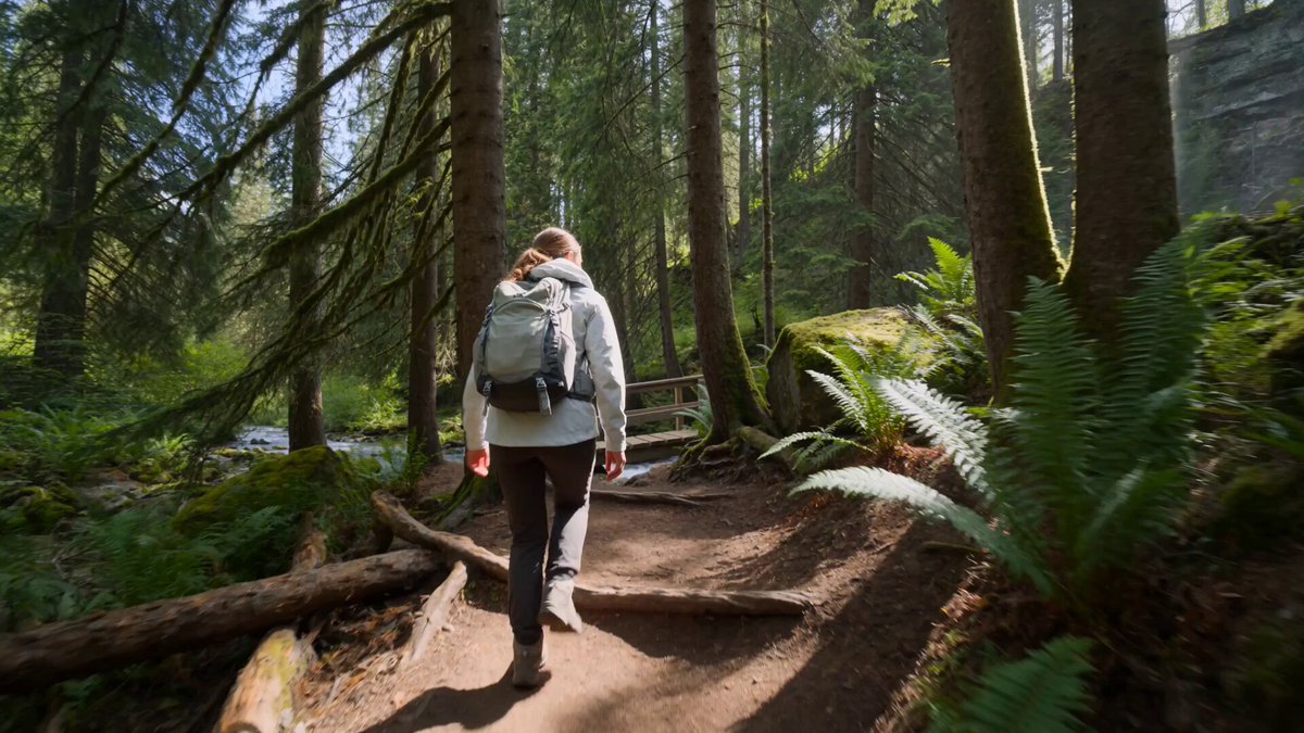 Reisedokumentation: Wanderung durch einen üppigen Bergwald