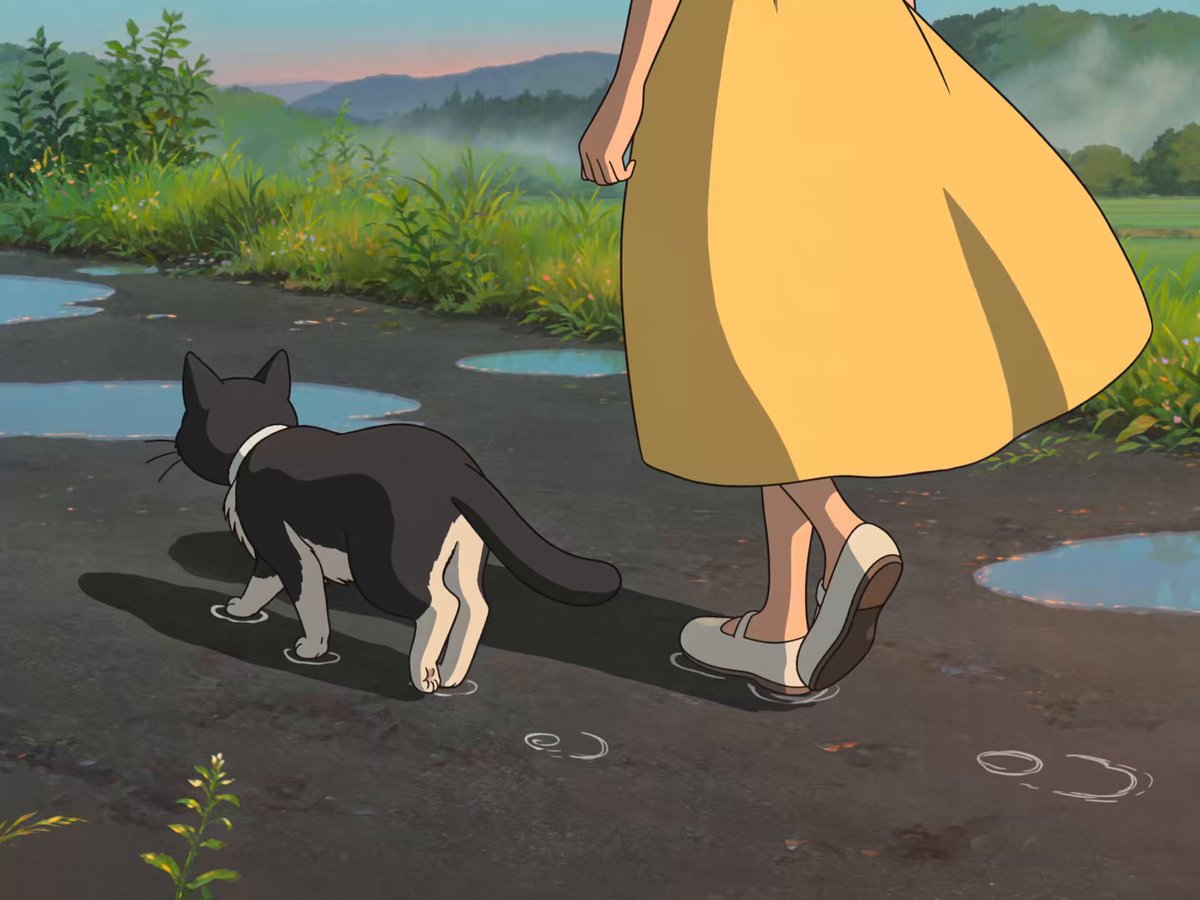 Anime-Mädchen und Katze beim Spaziergang im Sonnenuntergang
