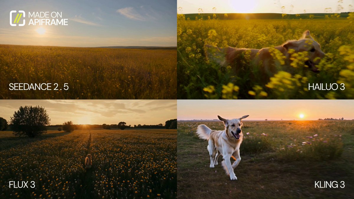 Golden Retriever beim Sonnenuntergang