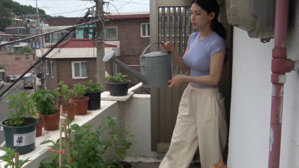 Korean Neighborhood Summer Camcorder Footage