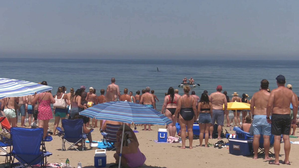 Robot Saves Couple From Shark