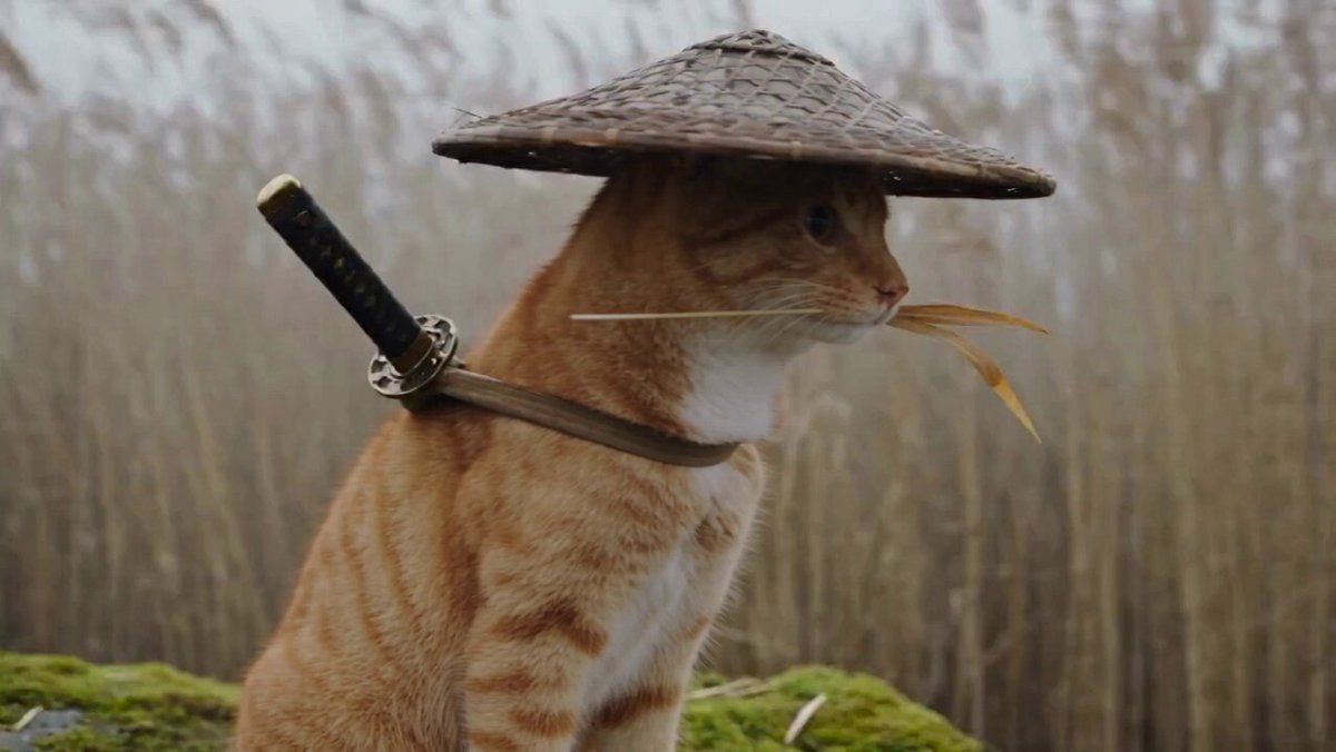 Katana Cat Wetland Fight