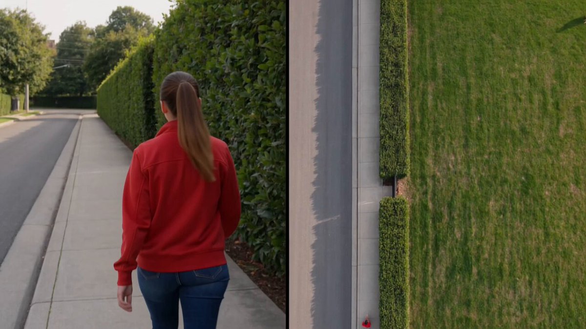 Split-Screen Hedge Dog Reveal
