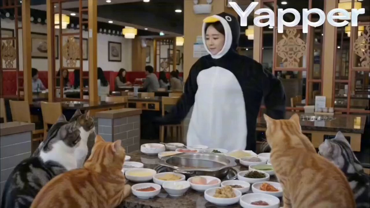 นักเต้นเพนกวิน ใน ร้านหม้อไฟแมว