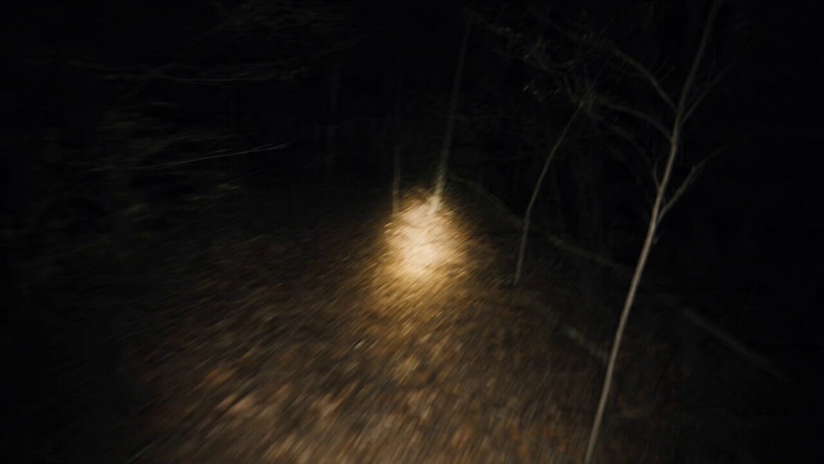 Found-Footage POV Wald-Horror
